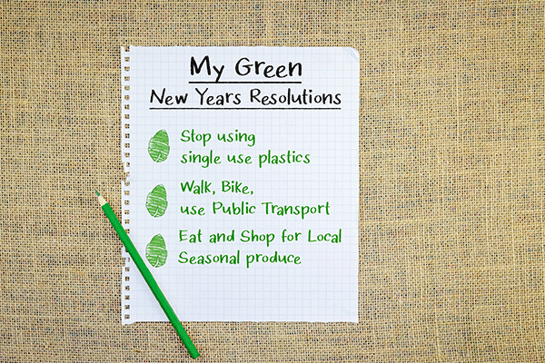 Eco Friendly New Year’s Resolutions