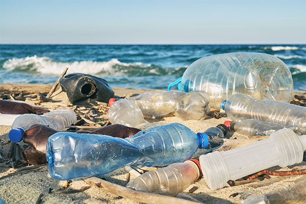 How Plastic Water Bottles are Destroying the Planet