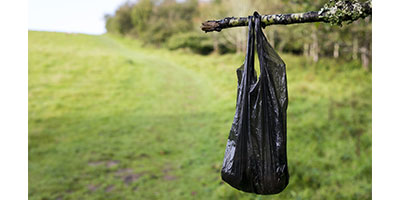 Ditch Plastic Dog-Poo Bags