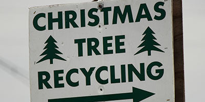 Recycle Your Christmas Tree