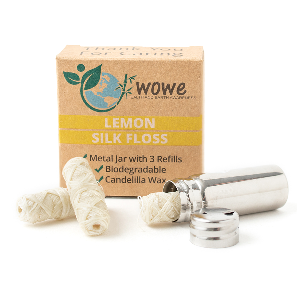 Silk Dental Floss w/ Refillable Stainless Steel Container