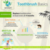 bamboo toothbrush basics