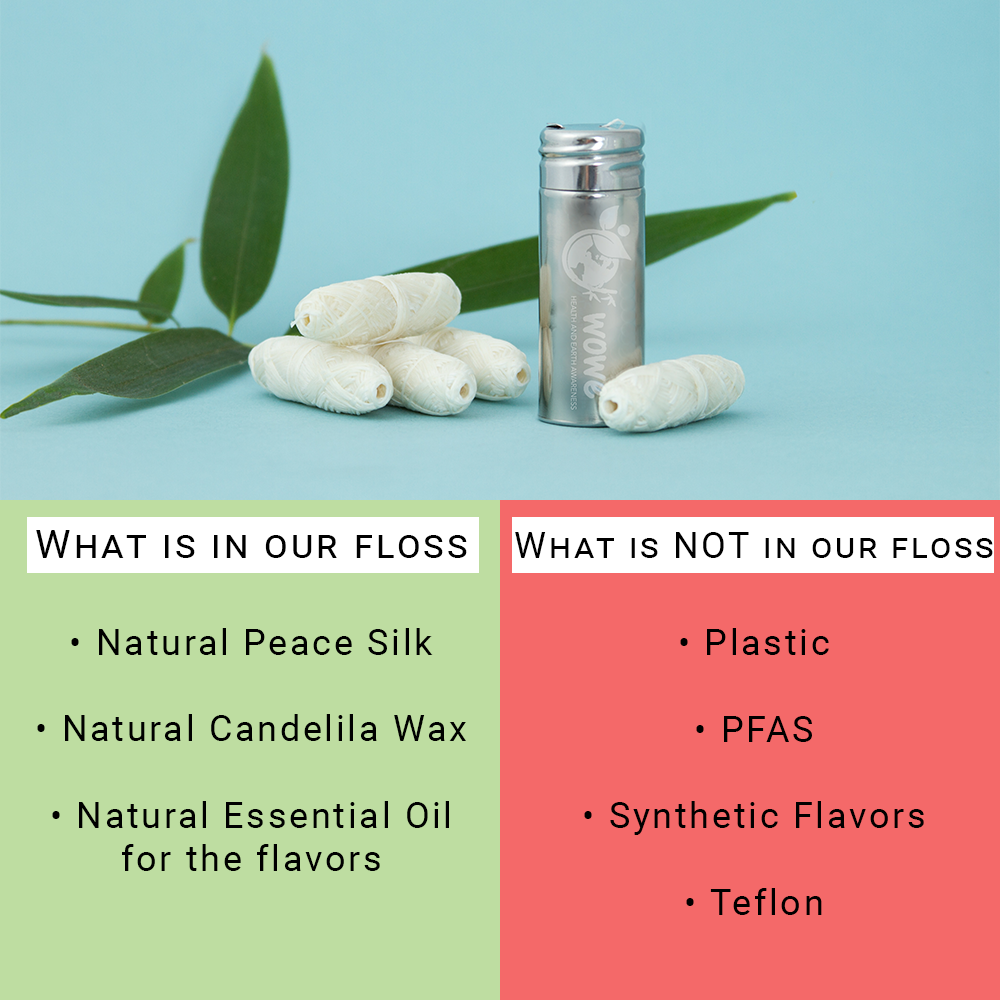 Silk Dental Floss w/ Refillable Stainless Steel Container